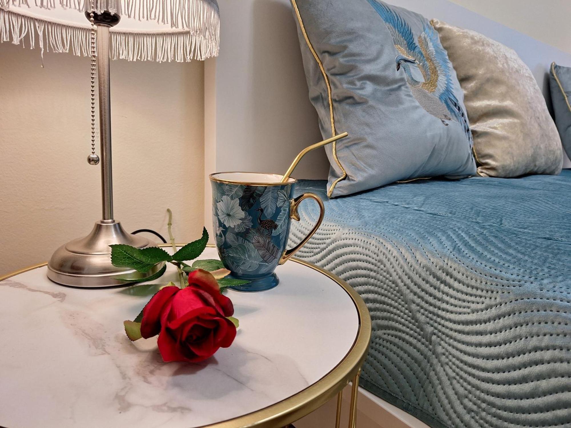 Albina Apartman إغير المظهر الخارجي الصورة