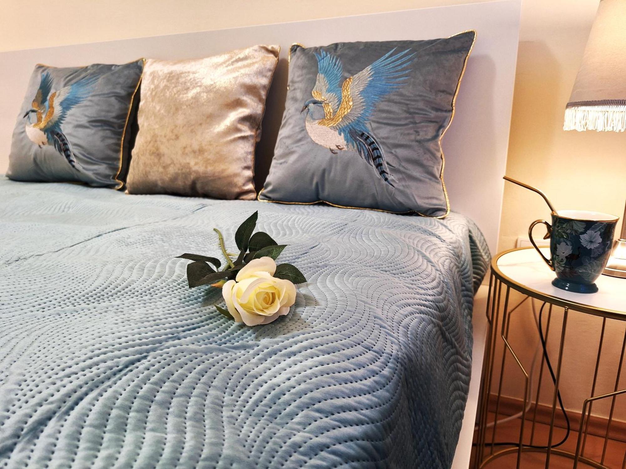 Albina Apartman إغير المظهر الخارجي الصورة