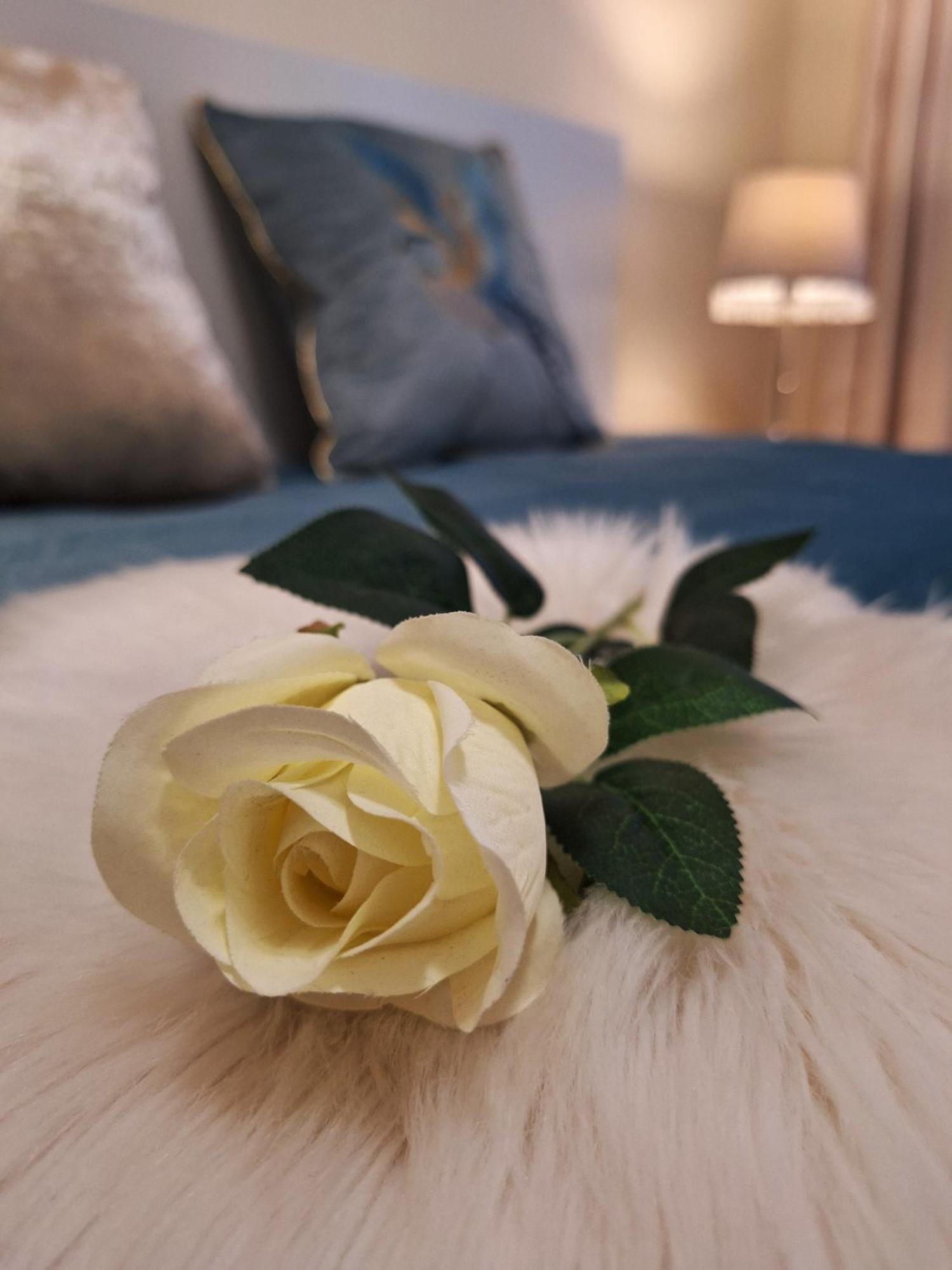 Albina Apartman إغير المظهر الخارجي الصورة